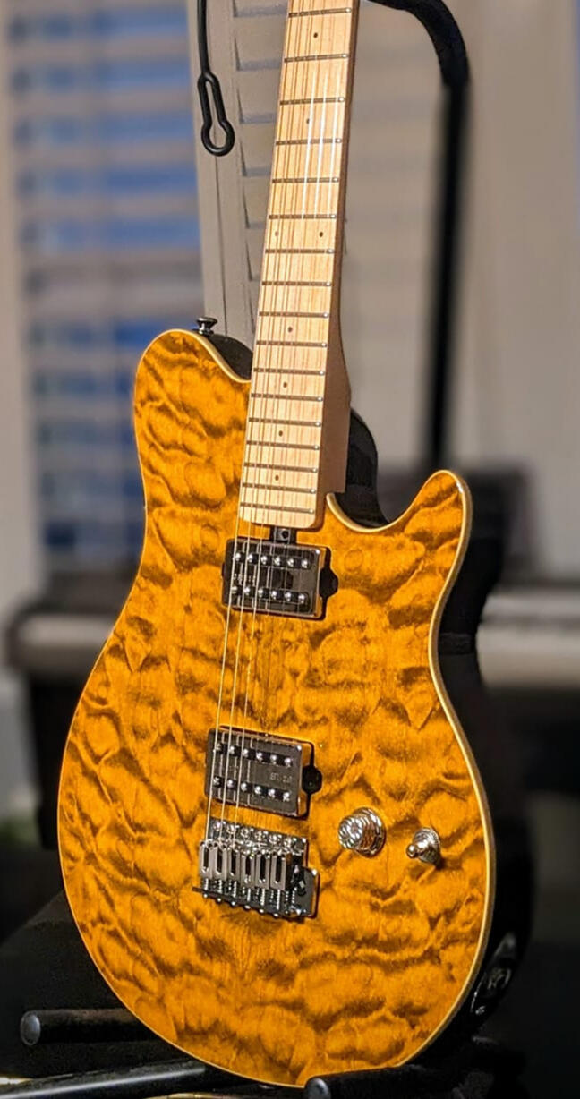 The Toaster (OLP with Gretsch Humbuckers and hidden tone control)